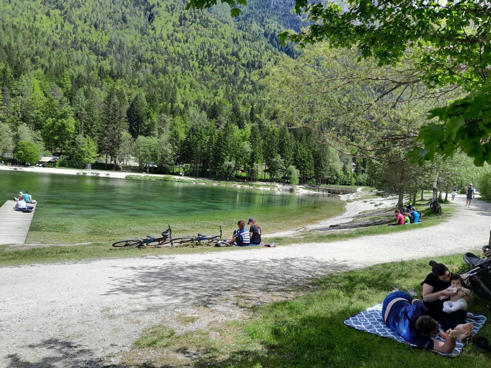 Les Chalet Kranjska Gora I Экстерьер фото