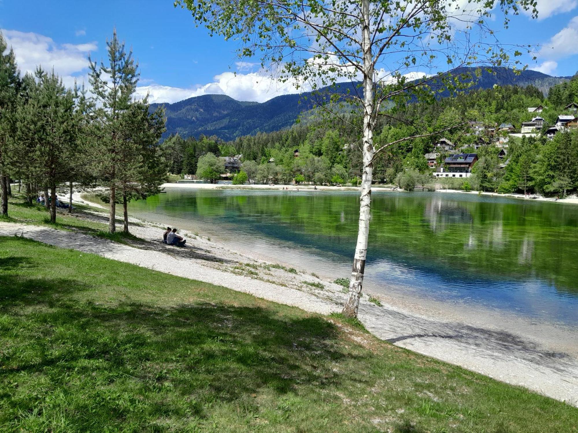 Les Chalet Kranjska Gora I Экстерьер фото